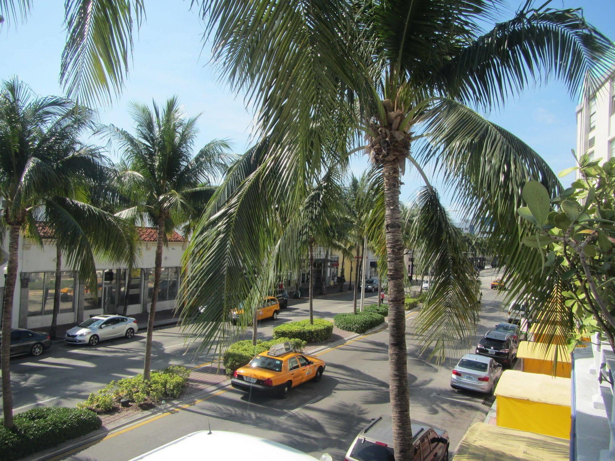 Royal Hotel South Beach Miami Beach Dış mekan fotoğraf